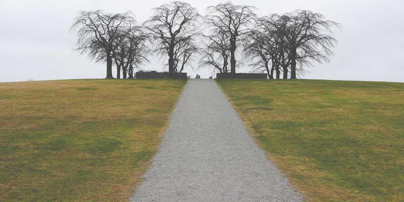 Z世代消费新趋势：潮玩盲盒如何重塑纪念品设计与企业礼品定制