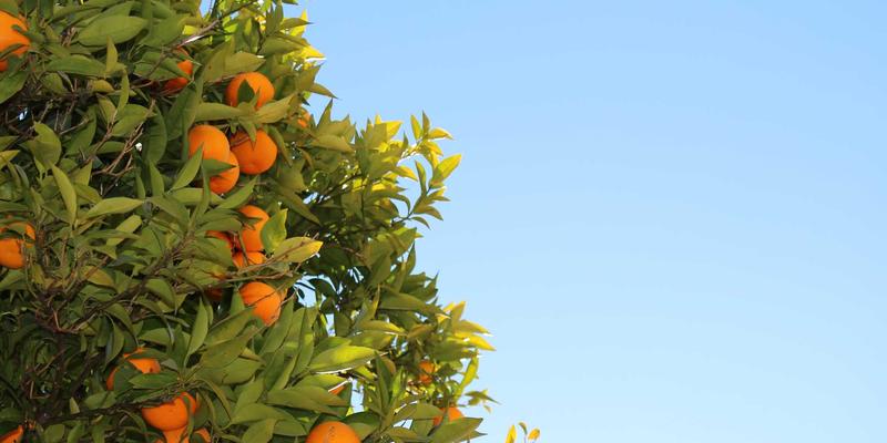 从“心意正”到品牌共鸣：三个企业礼品定制案例的深度解析