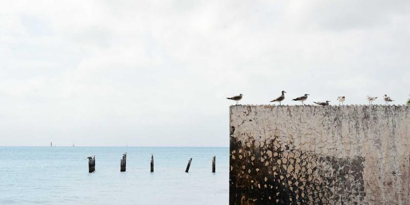 创意设计，心意正浓：宠物主题定制礼品全指南