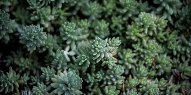 创意设计赋能礼品定制：打造独一无二的纪念品设计指南