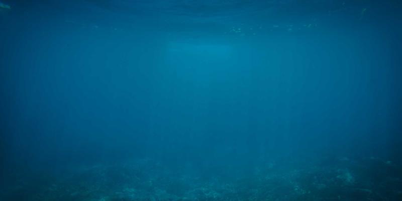 心意正，情意浓：数字藏品与实体纪念品设计融合，重塑企业礼品新范式