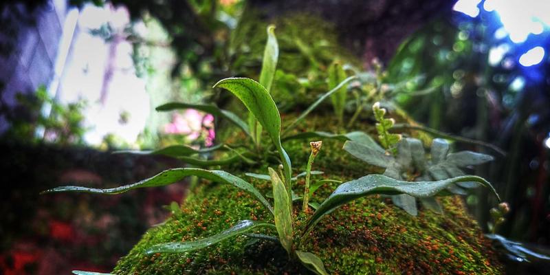 沉浸式开箱体验设计：如何让定制礼品从包装开始讲述品牌故事