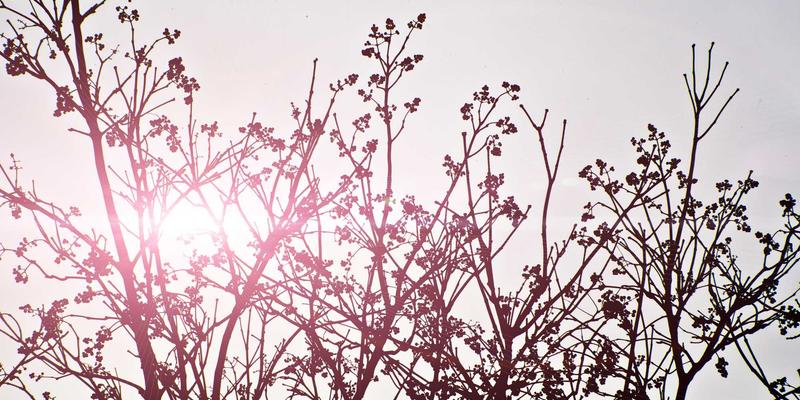 礼品定制65：个性化礼物与企业礼品的融合创新之道