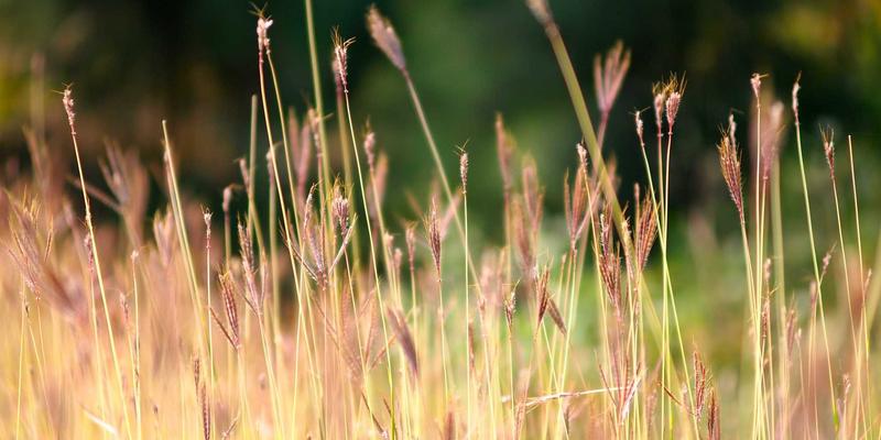 节日营销新思路：如何通过创意设计与定制企业礼品传递“心意正”